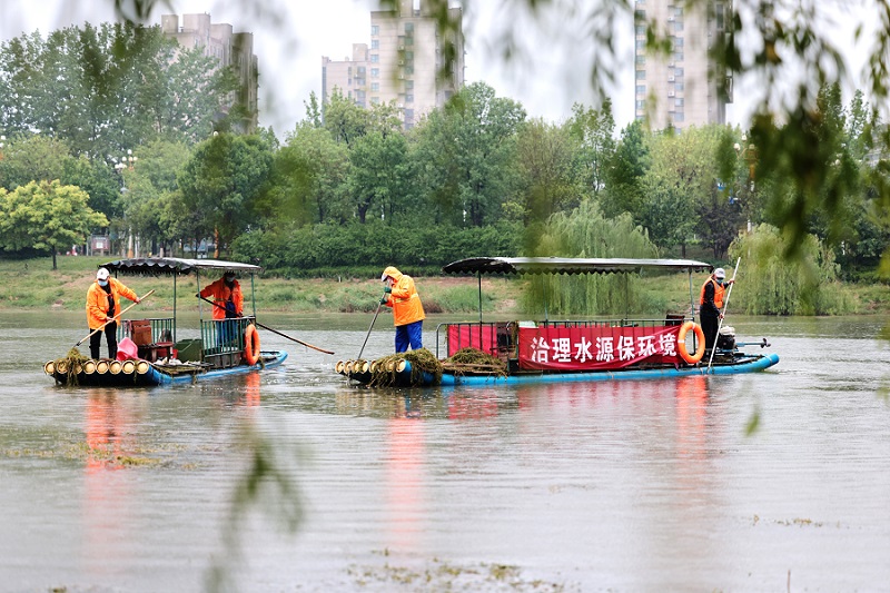 （日?qǐng)?bào)民生版約）提升人居環(huán)境 冒雨打撈水(2665788)-20220512095001.JPG